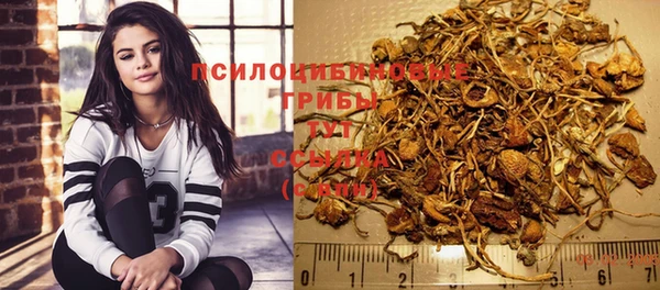 дурь Инта