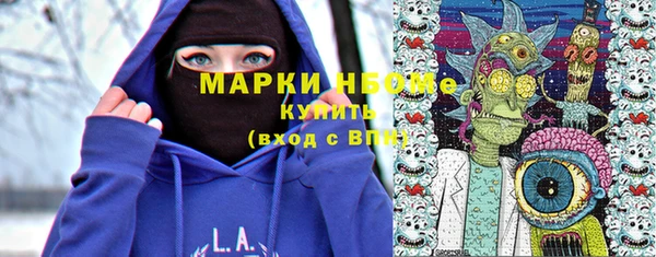 амф Инсар