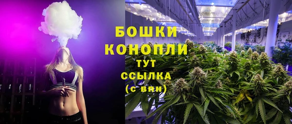 дурь Инта