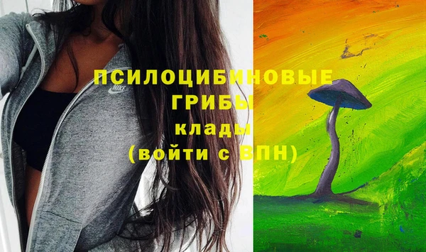 ешки Иннополис
