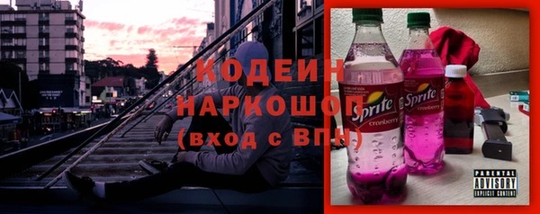 ешки Иннополис