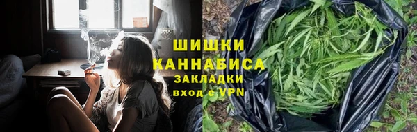 спайс Каменка