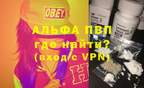 дурь Инта