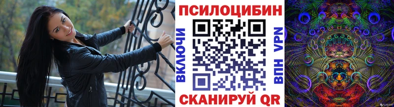 Купить  Заволжск  Галлюциногенные грибы Psilocybe 