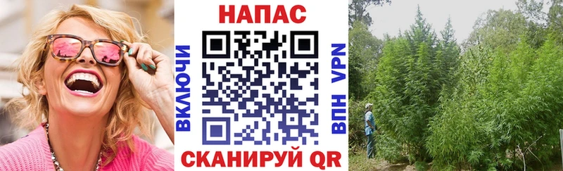 Канабис семена  Купить где  Заволжск 
